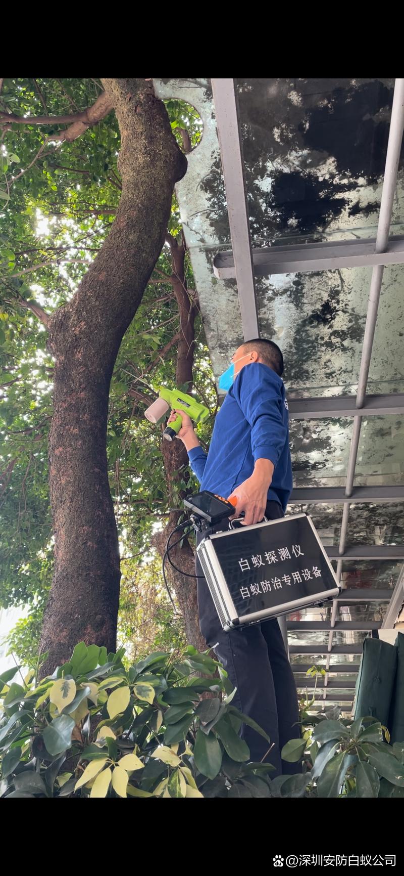 深圳市安防有害生物防治,白蚁防治中心